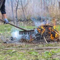 Palenie na chodniku w Polsce: Kiedy legalne, a kiedy mandat 500 zł?