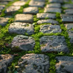 Skuteczne usuwanie mchu z chodnika: Wybierz najlepszą metodę