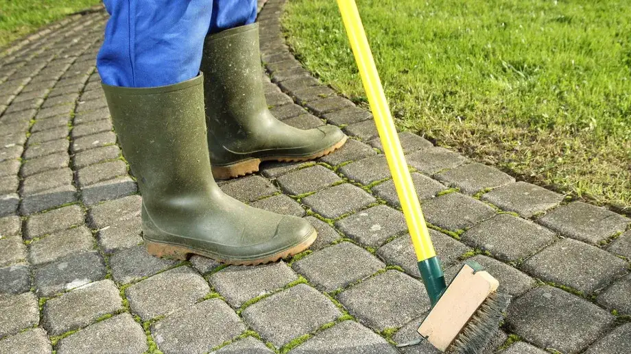 domowe sposoby usuwania mchu z kostki brukowej